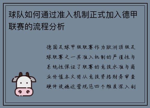 球队如何通过准入机制正式加入德甲联赛的流程分析